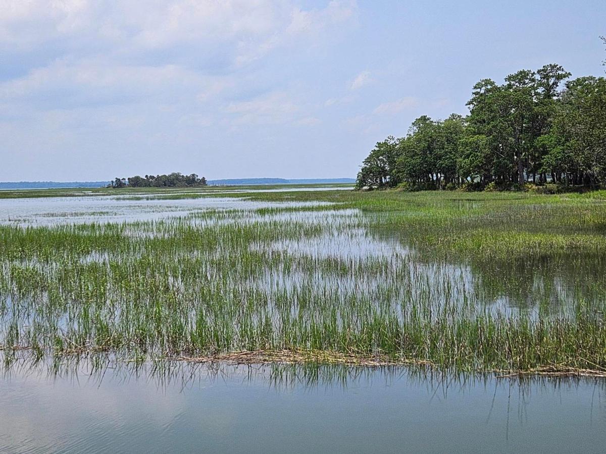 Low Country Cottage In Beautiful Habersham Beaufort Ngoại thất bức ảnh