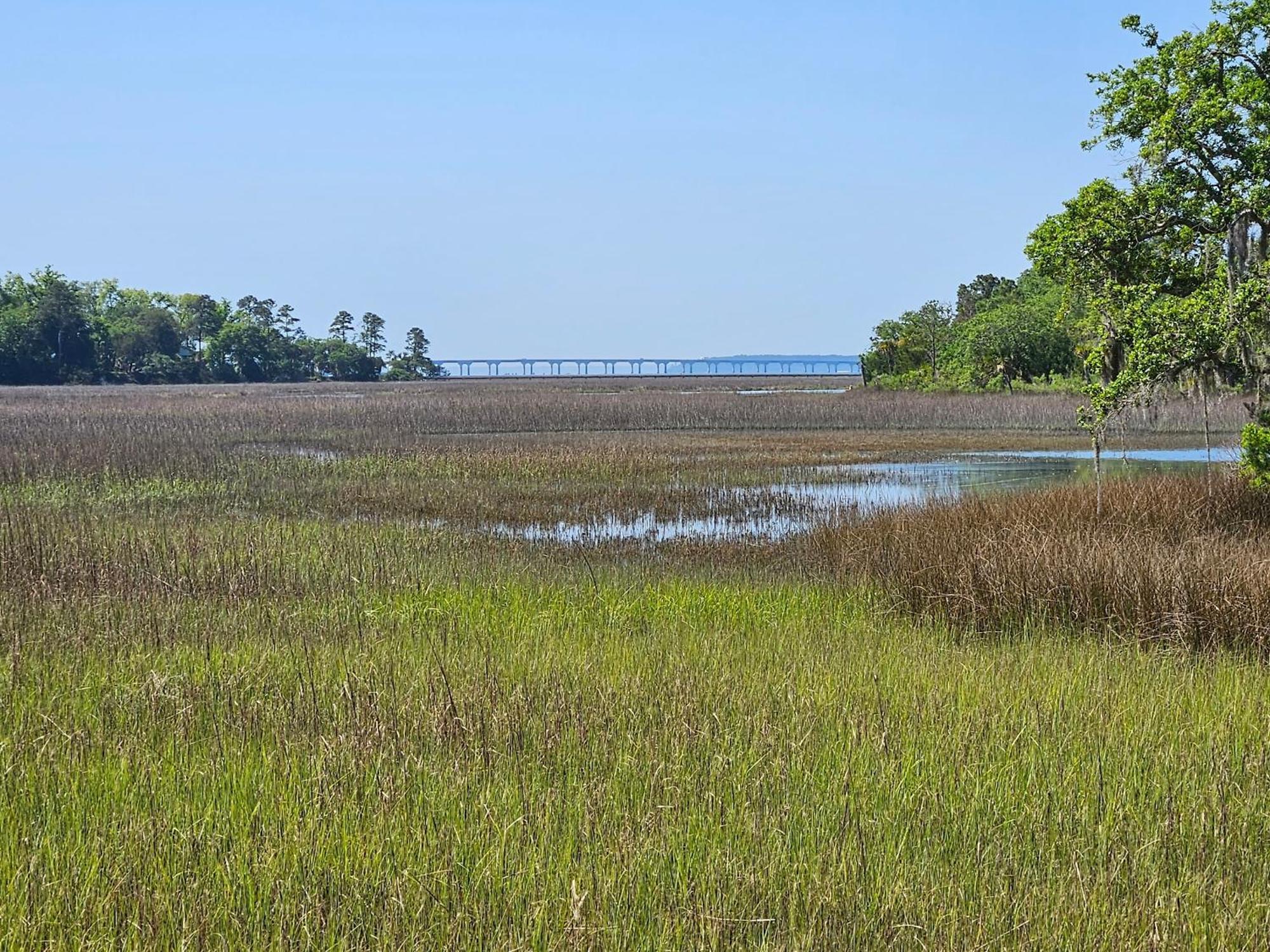 Low Country Cottage In Beautiful Habersham Beaufort Ngoại thất bức ảnh