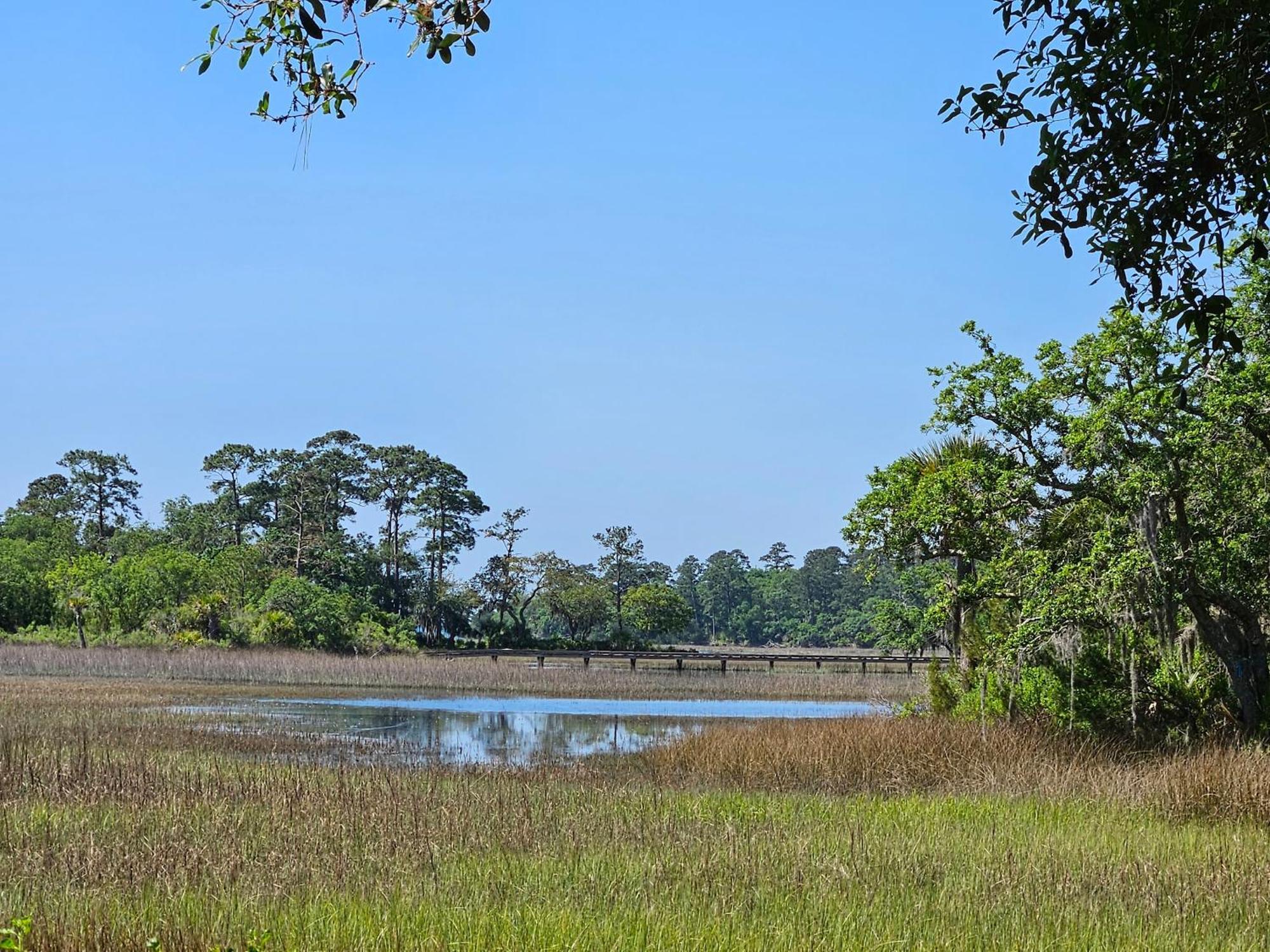 Low Country Cottage In Beautiful Habersham Beaufort Ngoại thất bức ảnh