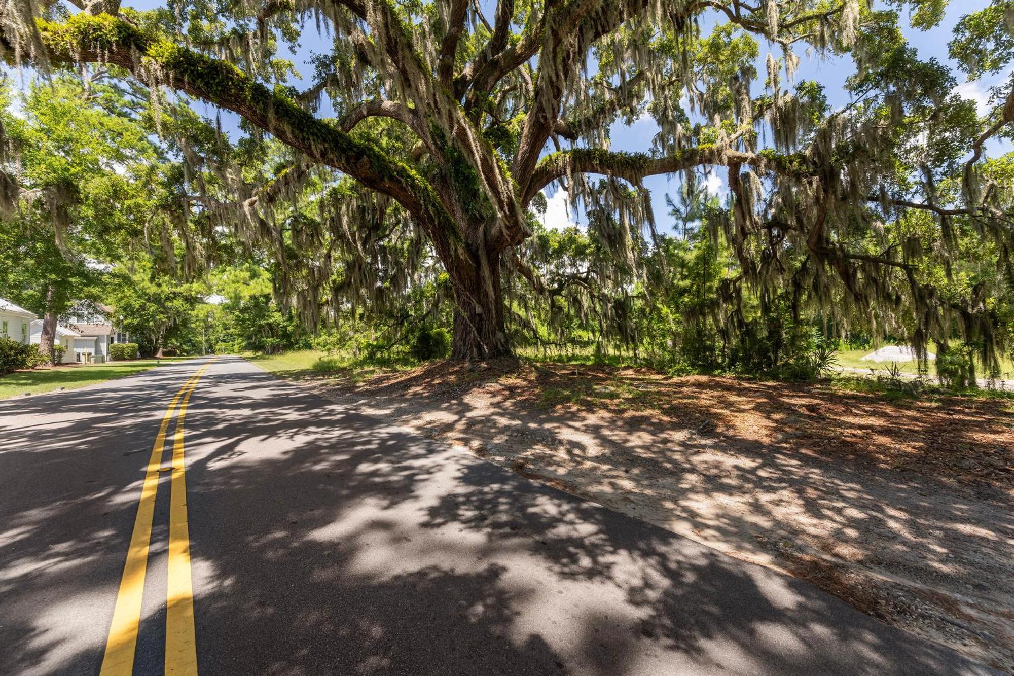 Low Country Cottage In Beautiful Habersham Beaufort Ngoại thất bức ảnh